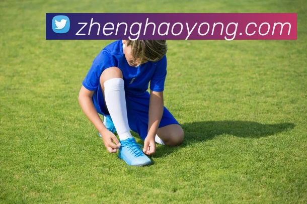 乐鱼网页版登录官网服务体系